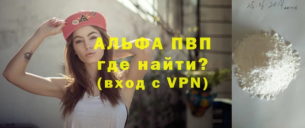 индика Абаза