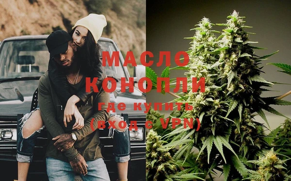 индика Абаза